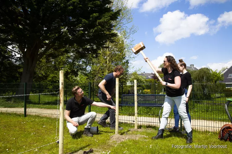 Bedrijven klussen voor maatschappelijke organisaties tijdens De Waaier in Actie