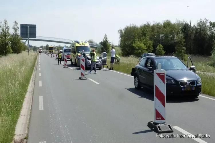 Kop-staart botsing door eenden familie