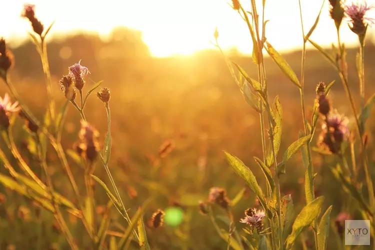 Droog en zonnig weer houdt komende week aan