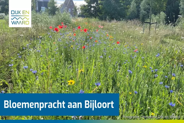 Bloemenpracht aan Bijloort