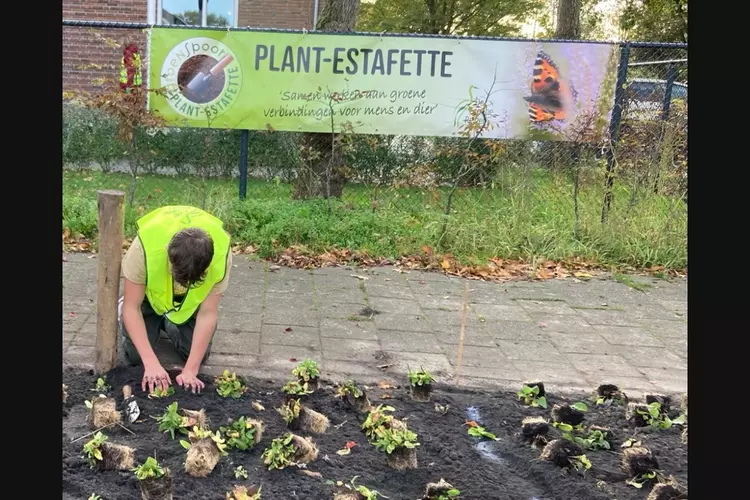 Icarushuis plantte ontmoetingsplaats voor de deur