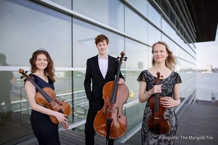 Zondag 15 januari: The Marigold Trio in de Koogerkerk