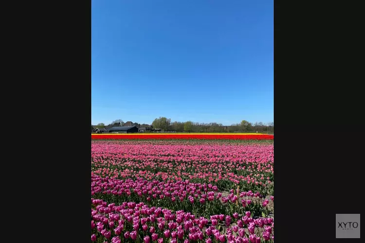 Ontdek de verborgen schatten van Dijk en Waard en Noord-Holland!