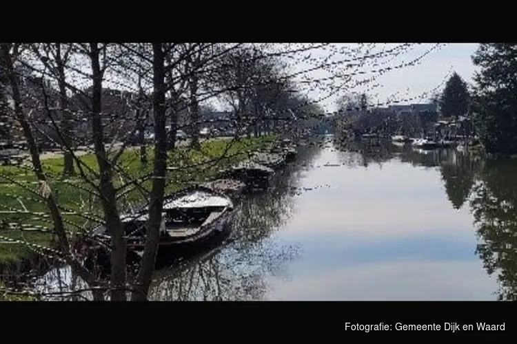 Herinrichting van de Bomenbuurt