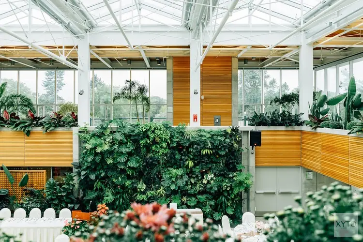 Zo geef je je huiskamer een groene look