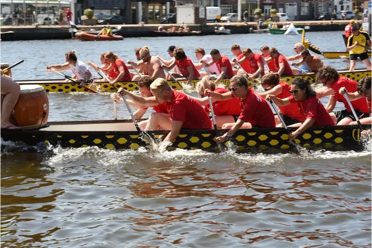 Drakenbootrace op Noord-Hollands kanaal in Alkmaar