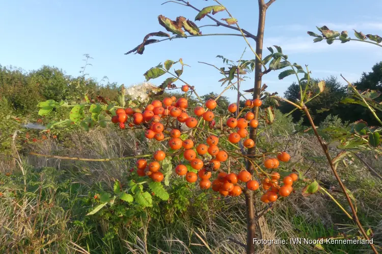 Natuurwandeling op zondag 6 oktober door Geestmerambacht