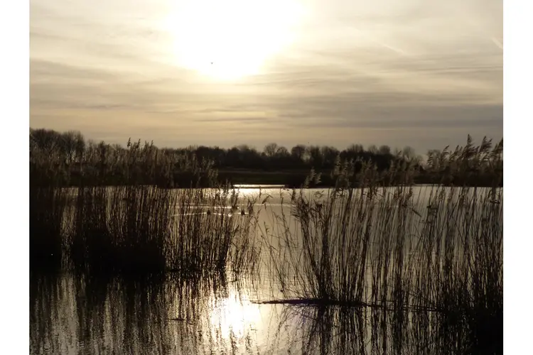 Natuurwandeling op zondag 1 december door Geestmerambacht