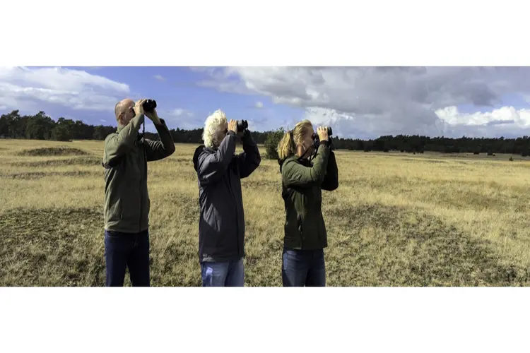 Nieuwe vogelcursus voor natuurliefhebbers in Noord-Holland