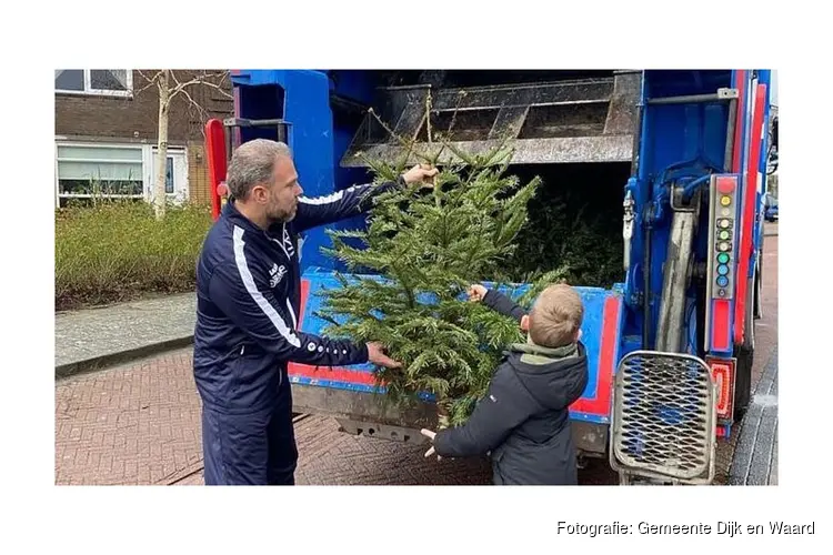 Verdien een extra zakcentje door kerstbomen in te leveren